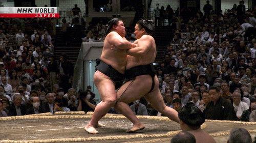 GRAND SUMO Highlights Season 17 Episode 7 - Day 7