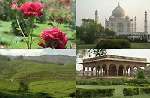 Around the World in 80 Gardens Season 1 Episode 3 - India