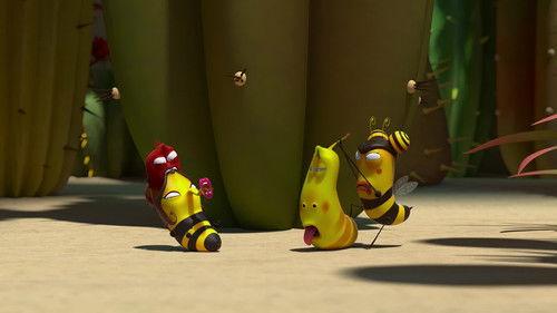 Larva Family Season 1 Episode 8 - Training