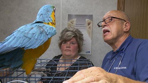 The Incredible Dr. Pol Season 13 Episode 2 - Grub-a-Dub-Dub