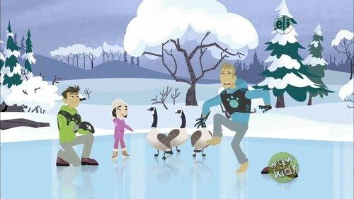 Wild Kratts Season 3 Episode 5 - Osprey