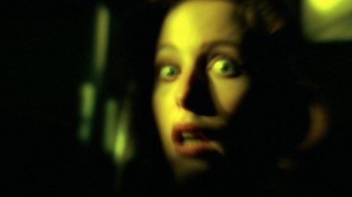 The X-Files Season 3 Episode 18 - Teso Dos Bichos