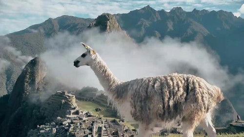 72 Dangerous Animals: Latin America Season 1 Episode 8 - Episode 8