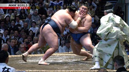 GRAND SUMO Highlights Season 29 Episode 5 - Day 5