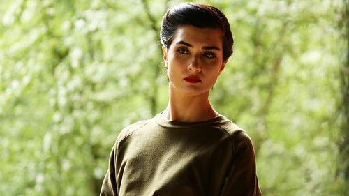 Brave and Beautiful Season 1 Episode 24 - Episode 24