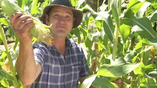 Gardening Australia Season 33 Episode 3 - Episode 3 Autumn Planting, Basil, Fresh Food & Grapes