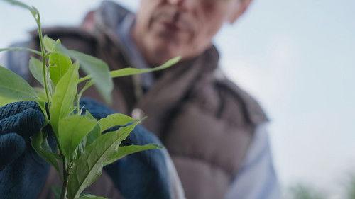 Crimewatch Live Season 22 Episode 14 - Brewing Fraud