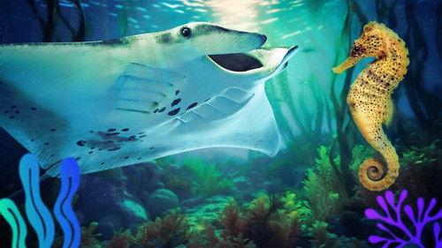 Reef School Season 2 Episode 4 - Reef Police