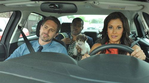 Life in Pieces Season 1 Episode 4 - Prison Baby Golf Picking