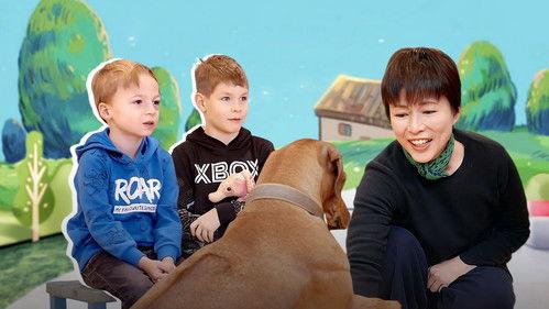 Childhood Elsewhere Season 2 Episode 2 - Episode 2