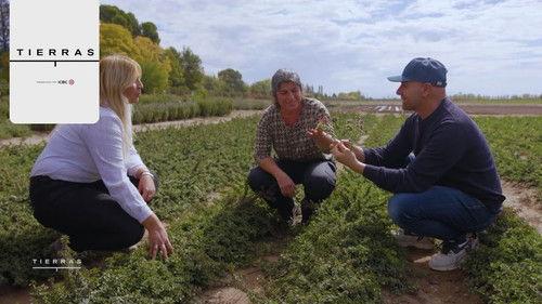 Proyecto Tierras Season 3 Episode 12 - Episode 12