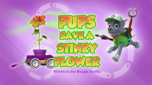 PAW Patrol Season 3 Episode 32 - Pups Save a Stinky Flower