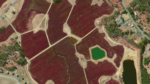 Découverte Season 32 Episode 17 - Episode 17