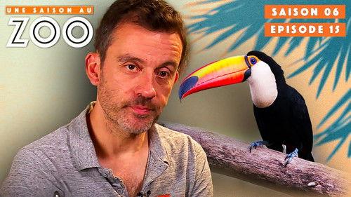 Une saison au zoo Season 6 Episode 15 - Episode 15