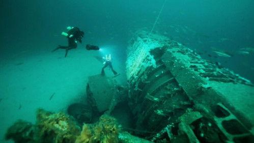 Dig WW2 with Dan Snow Season 1 Episode 1 - Episode 1