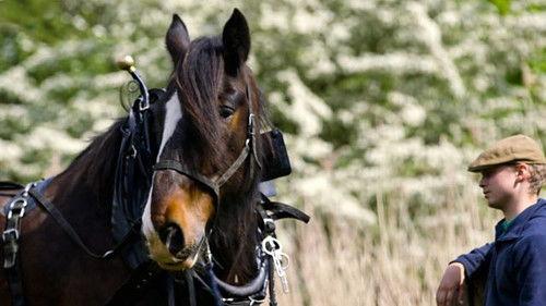 Countryfile Season 33 Episode 21 - Sean's Home Patch