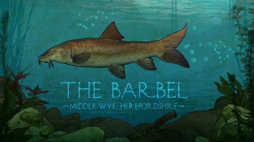 Background image for Barbel on the Wye