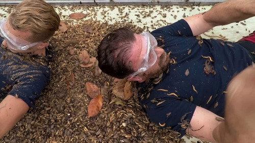 I'm a Celebrity...Get Me Out of Here! Season 18 Episode 5 - Unleash the Beasts