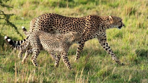 Chasing the Rains Season 1 Episode 3 - Praying For Rain