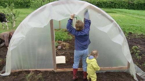 Frank & Kastaniegaarden Season 16 Episode 10 - Episode 10