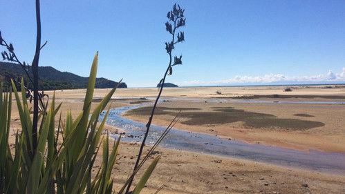 Kiwiland Season 1 Episode 3 - Episode 3