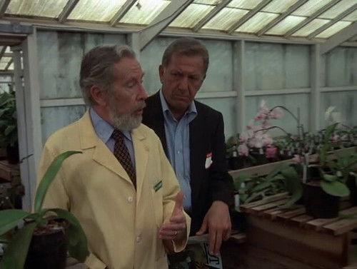 Quincy, M.E. Season 5 Episode 1 - No Way to Treat a Flower