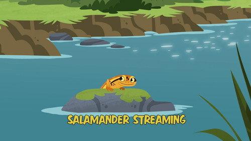 Wild Kratts Season 7 Episode 10 - Salamander Streaming