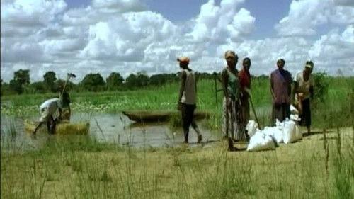 Kouzlo Afriky Season 1 Episode 6 - Episode 6