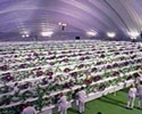 undefined Season 3 Episode 18 - The Fields