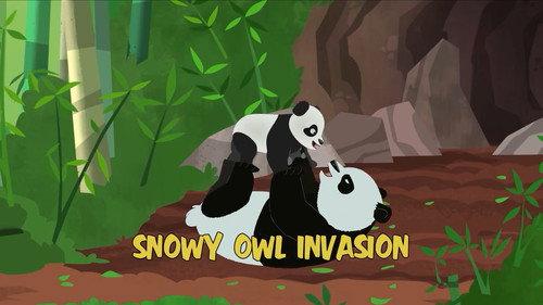 Wild Kratts Season 4 Episode 16 - Snowy Owl Invasion