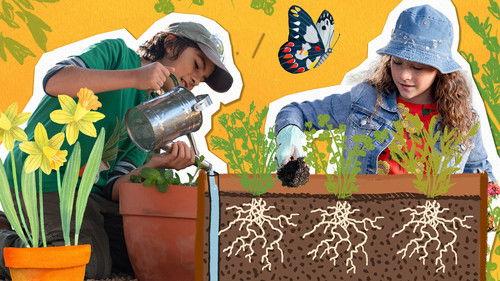 Gardening Australia Junior Season 2 Episode 3 - Wicking Wonder Pots