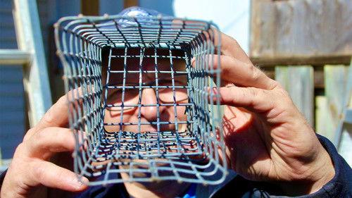 Louis and the Urban Jungle Season 3 Episode 2 - Episode 2