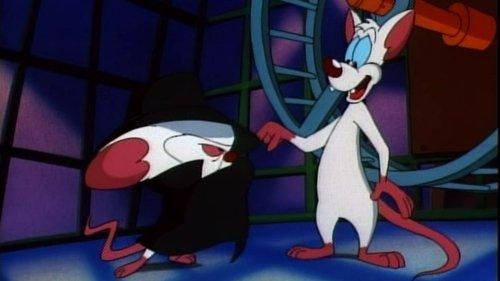 Pinky and the Brain Season 1 Episode 4 - That Smarts