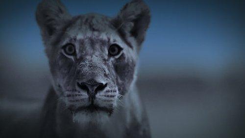 Night on Earth Season 1 Episode 6 - Dusk Till Dawn