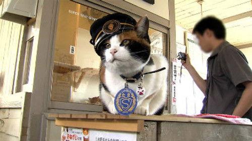 Japan Railway Journal Season 2 Episode 7 - The Cat Stationmaster Who Rescued a Railway