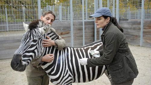 Tierärztin Dr. Mertens Season 2 Episode 10 - Episode 10