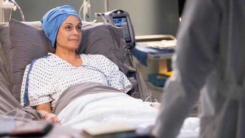 Grey's Anatomy Season 19 Episode 10 - Sisters Are Doin' It for Themselves