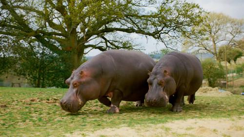 Animal Park Season 25 Episode 15 - Episode 15