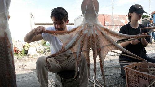 Trails to Oishii Tokyo Season 6 Episode 16 - OCTOPUS