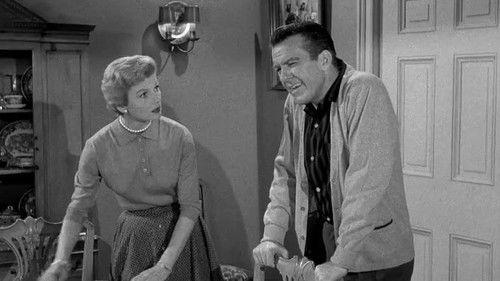 Leave It to Beaver Season 1 Episode 21 - Cleaning Up Beaver