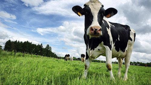 How Do They Do It? Season 12 Episode 10 - Robo-farm, Log Stacker, Piano Moving