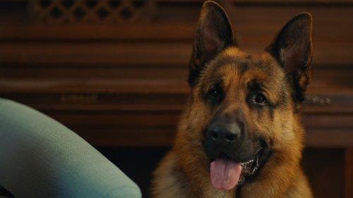 Hudson & Rex Season 7 Episode 5 - In From the Cold