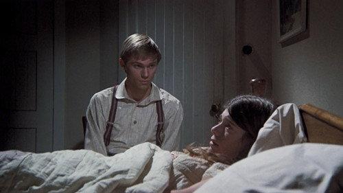 The Waltons Season 1 Episode 17 - The Love Story