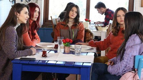 Kuzey Yıldızı: İlk Aşk Season 1 Episode 22 - Episode 22