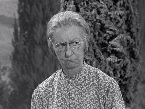 The Beverly Hillbillies Season 1 Episode 18 - Jed Saves Drysdale's Marriage