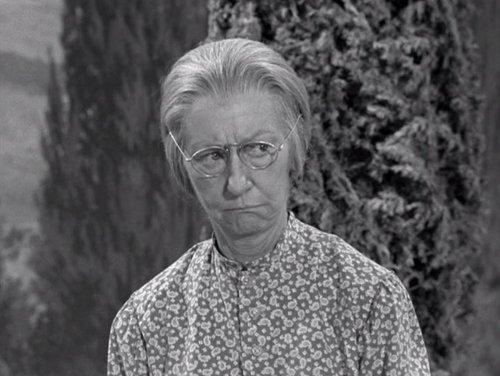 The Beverly Hillbillies Season 1 Episode 18 - Jed Saves Drysdale's Marriage