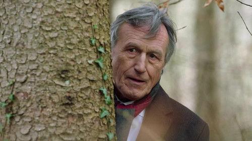 Sturm der Liebe Season 22 Episode 14 - Episode 4499