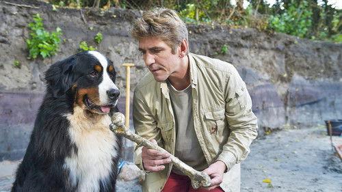 Löwenzahn Season 33 Episode 15 - Episode 15