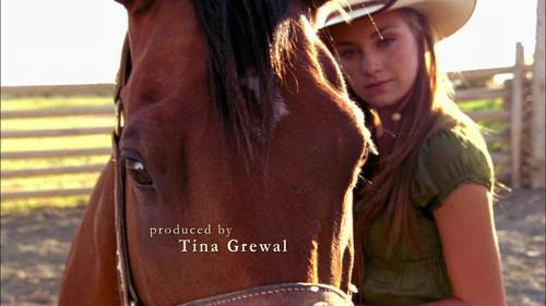 Heartland Season 2 Episode 15 - Dark Horse