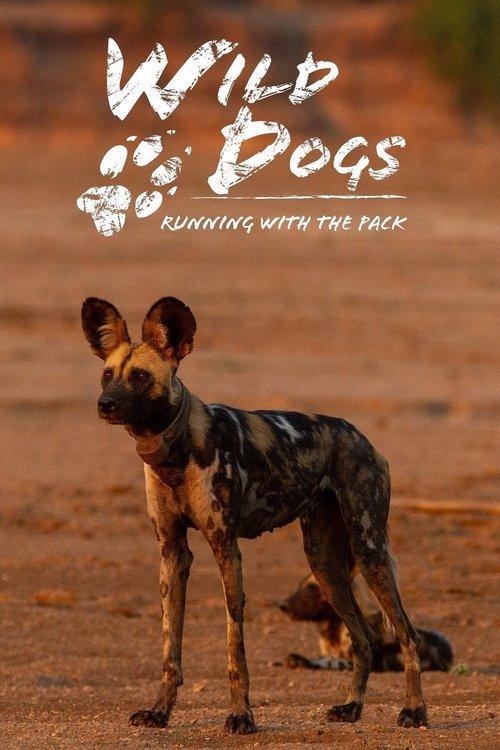 Wild Dogs: Running with the Pack poster
